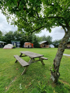 Camping De Tulpenweide lege Kampeerplaats, lege plaats op het gras zonder bed